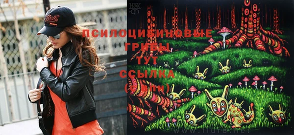 хмурый Бронницы