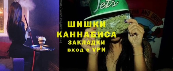 хмурый Бронницы