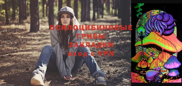 ECSTASY Бугульма
