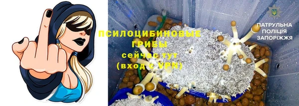 хмурый Бронницы