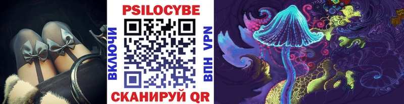 Псилоцибиновые грибы Psilocybe  купить наркотик  Вилючинск 
